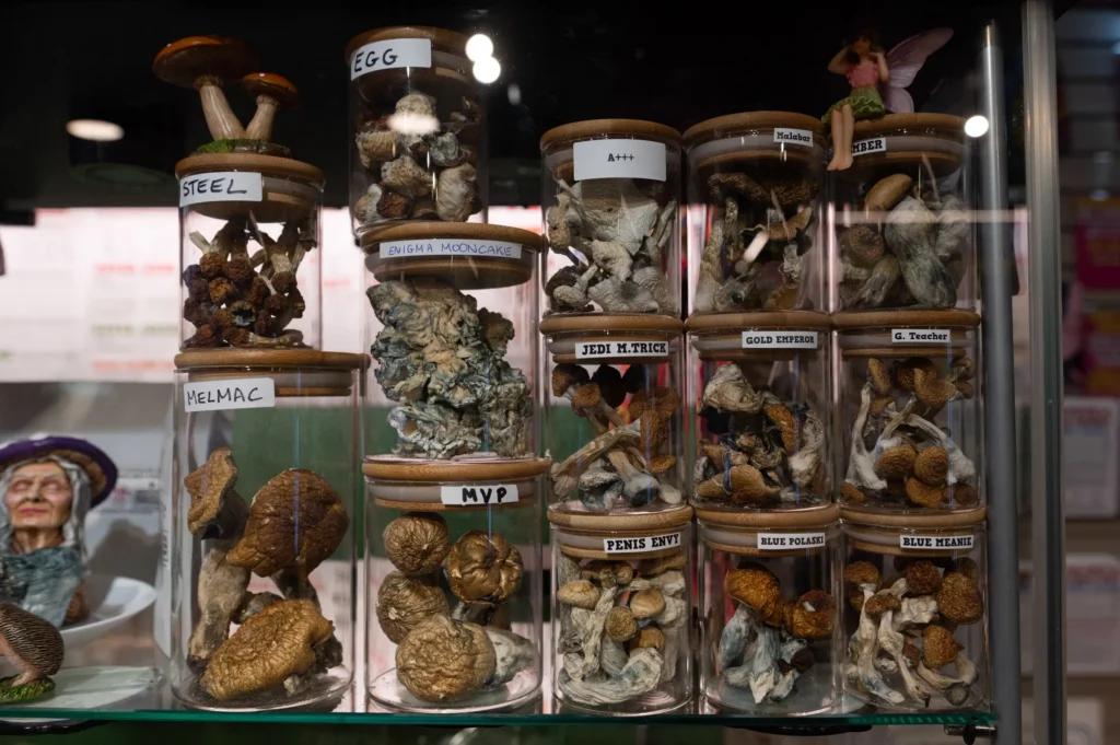 psilocybin mushroom chocolates