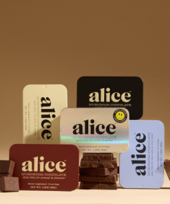 alice chocolates mushroom
