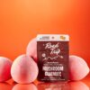 mushroom gummies desert stardust