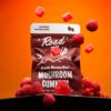 desert stardust road trip gummies
