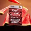 road trip desert stardust review