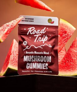 road trip desert stardust review