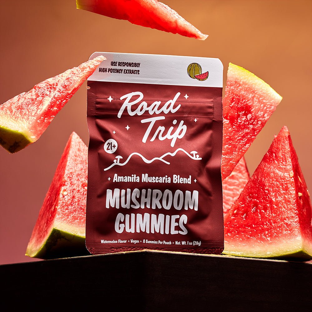 road trip desert stardust review