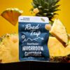 desert stardust road trip gummies