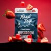 road trip desert stardust gummies