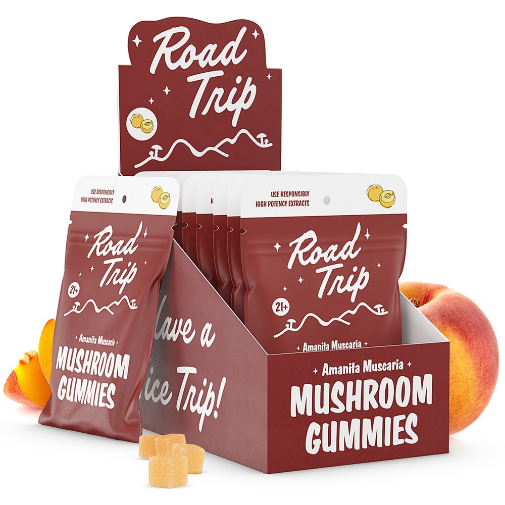 road trip desert stardust​